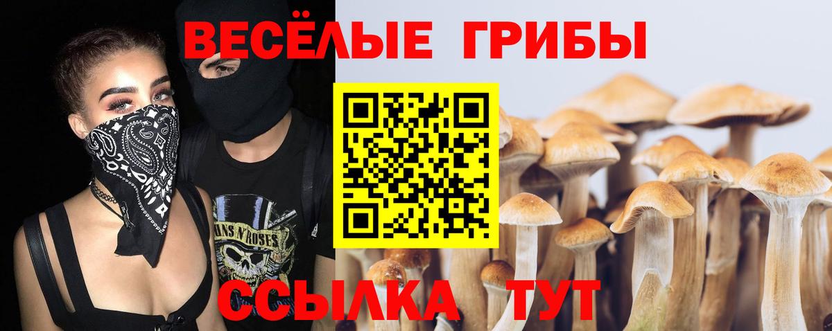 Галлюциногенные грибы Magic Shrooms  цены наркотик  Пушкино  Вход с VPN 